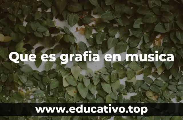 Que es grafia en musica