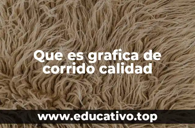 Que es grafica de corrido calidad