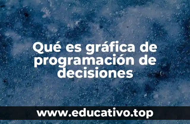 Qué es gráfica de programación de decisiones