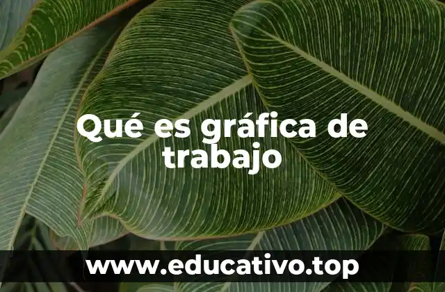 Qué es gráfica de trabajo