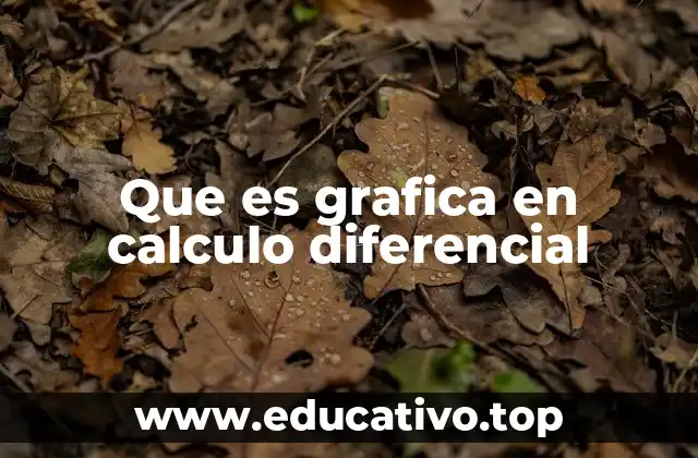Que es grafica en calculo diferencial