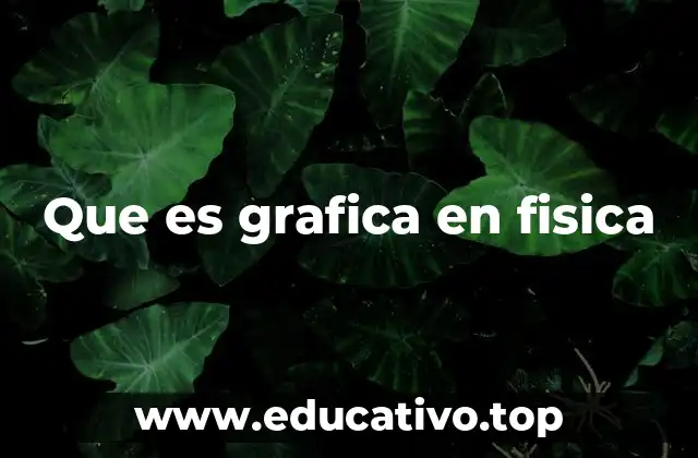 Que es grafica en fisica