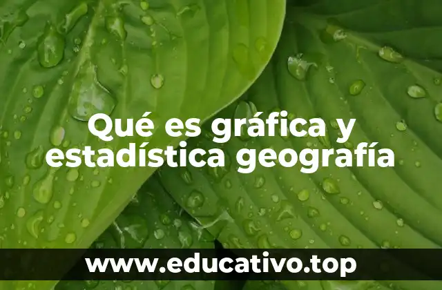 Qué es gráfica y estadística geografía
