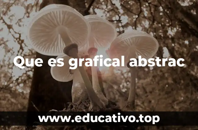 Que es grafical abstrac
