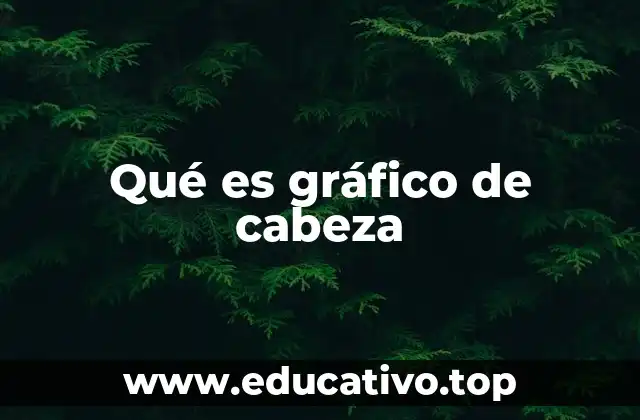 Qué es gráfico de cabeza