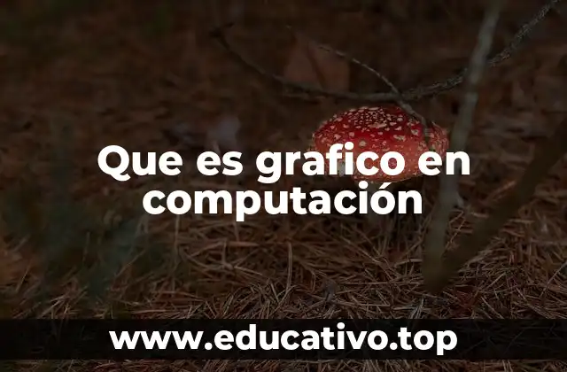 La importancia de la representación visual en la informática