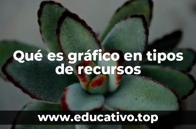 Qué es gráfico en tipos de recursos