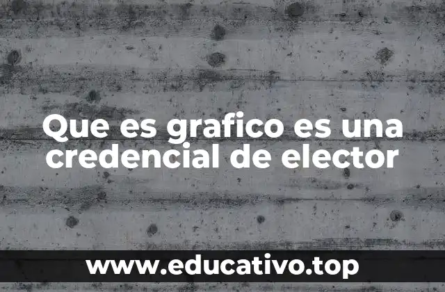 Que es grafico es una credencial de elector