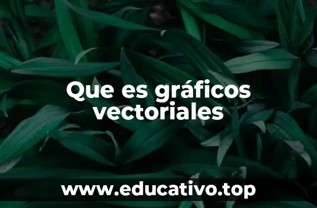 Que es gráficos vectoriales