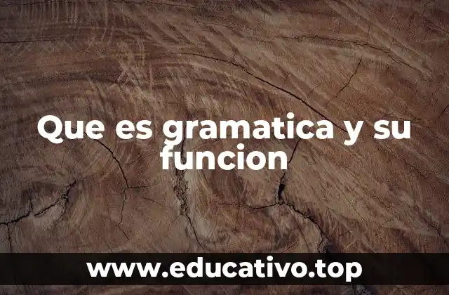 Que es gramatica y su funcion