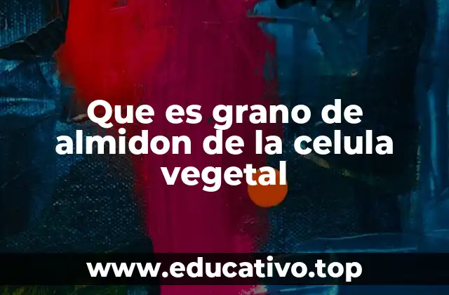 Que es grano de almidon de la celula vegetal