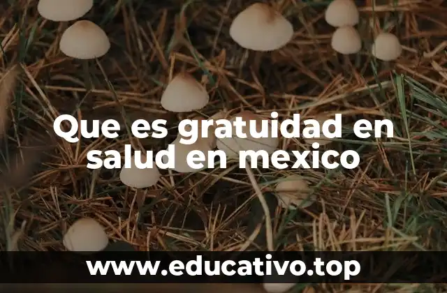Que es gratuidad en salud en mexico
