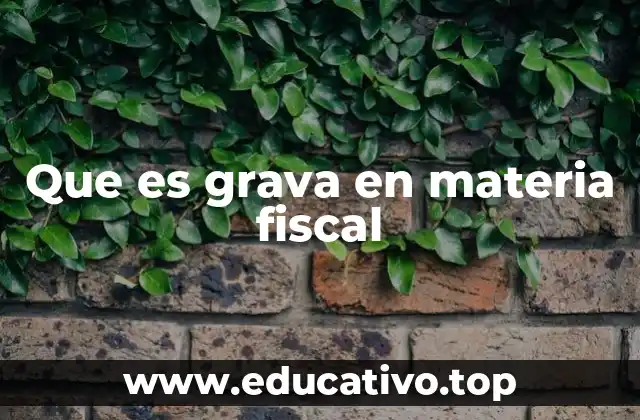 Que es grava en materia fiscal