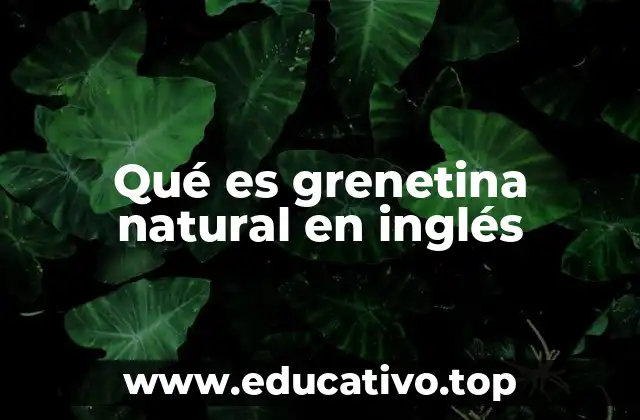 Qué es grenetina natural en inglés