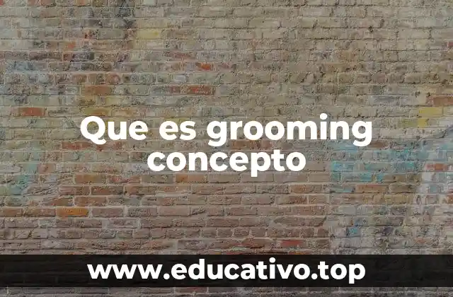 Que es grooming concepto