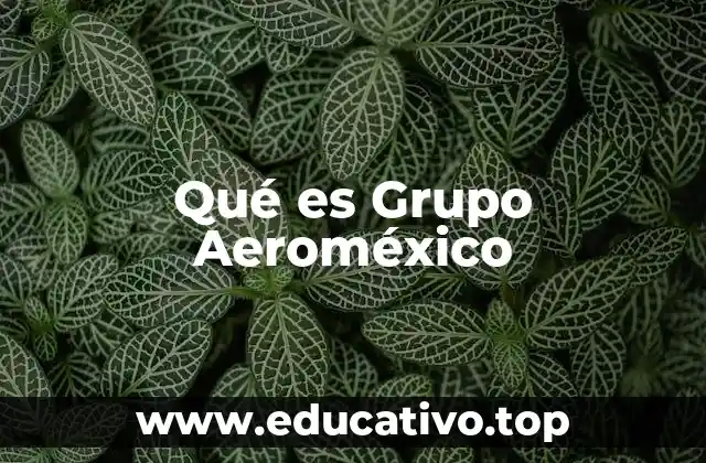 Qué es Grupo Aeroméxico