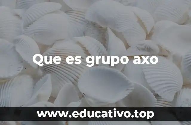 Que es grupo axo