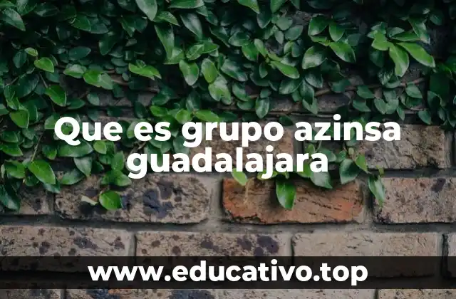 Que es grupo azinsa guadalajara