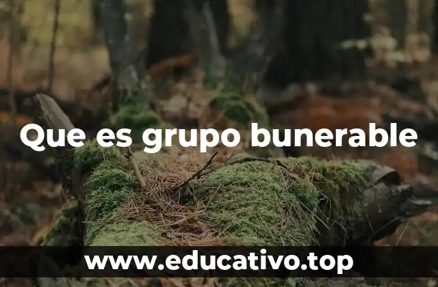 Que es grupo bunerable