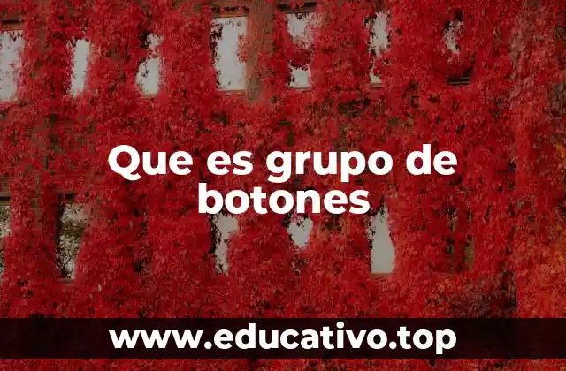 Que es grupo de botones
