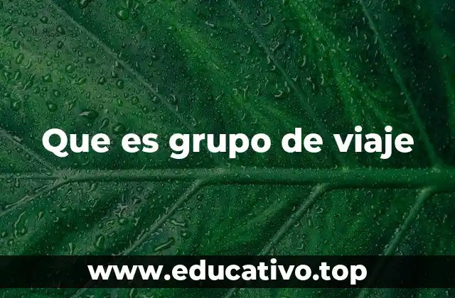 Que es grupo de viaje