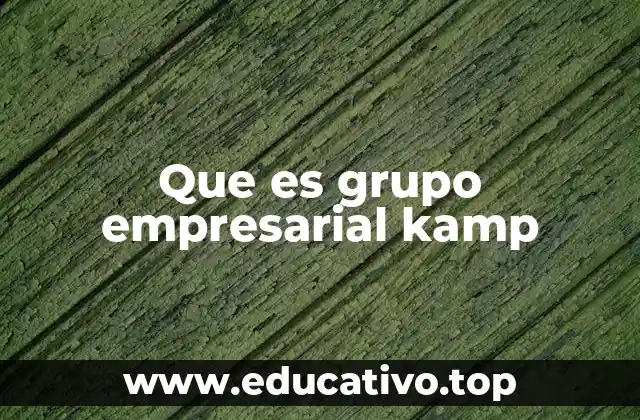 Que es grupo empresarial kamp
