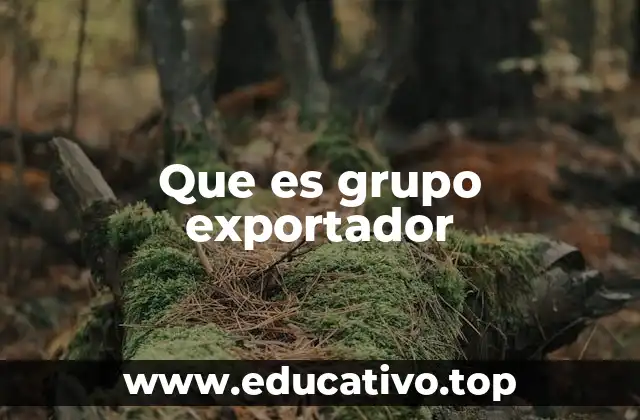 Que es grupo exportador