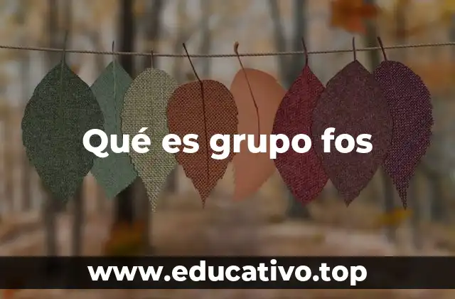 Características de las organizaciones similares al Grupo FOS