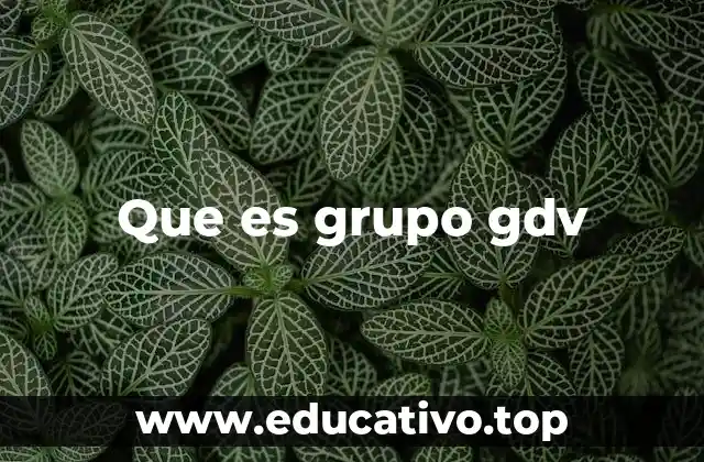 Que es grupo gdv