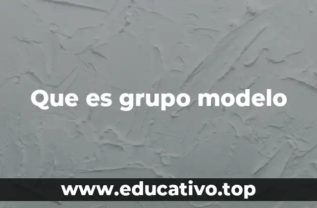 Que es grupo modelo