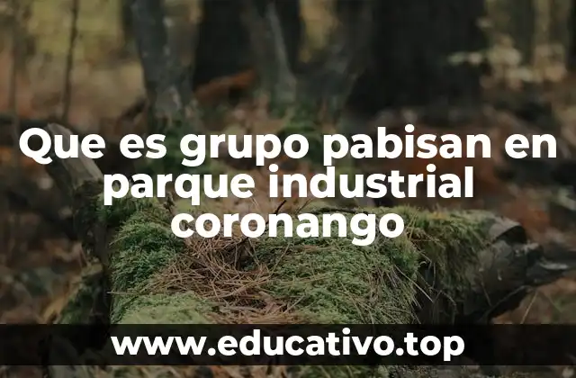 Que es grupo pabisan en parque industrial coronango