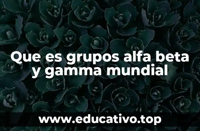 Cómo se clasifican los países en este modelo