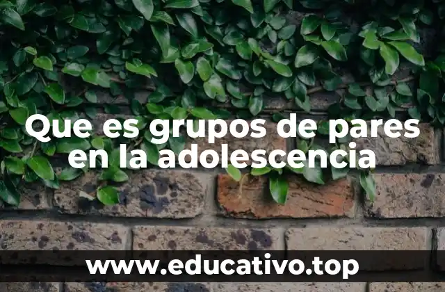 Que es grupos de pares en la adolescencia