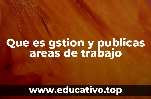 Que es gstion y publicas areas de trabajo