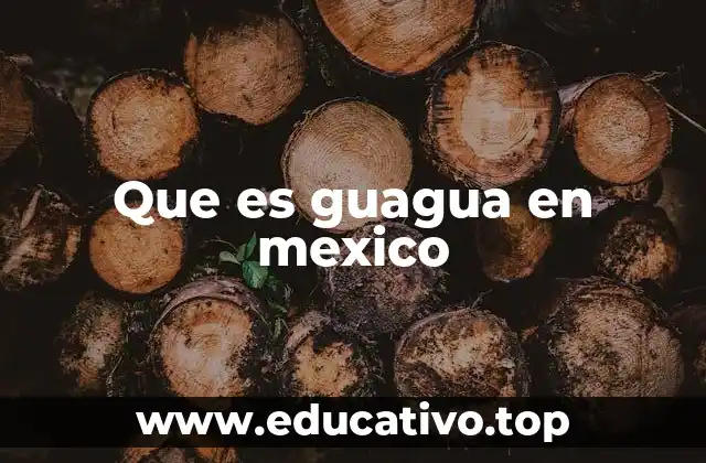 Que es guagua en mexico