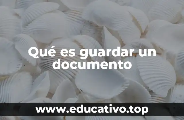 Qué es guardar un documento