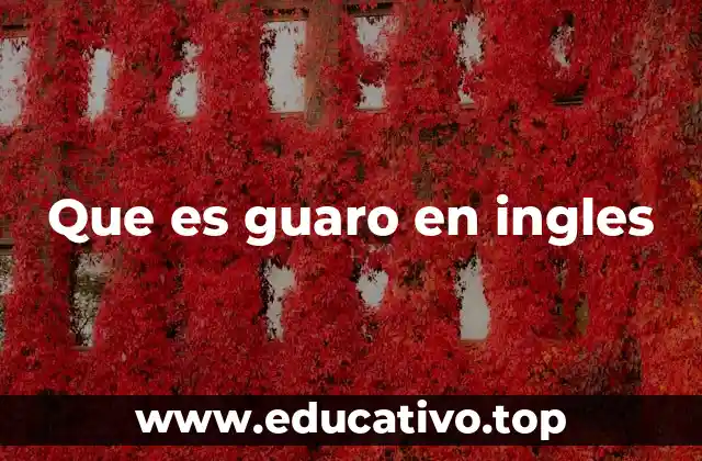 Que es guaro en ingles