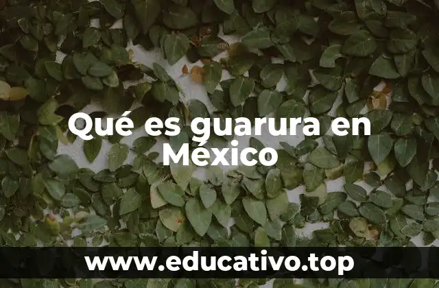 El uso de guarura en el lenguaje popular