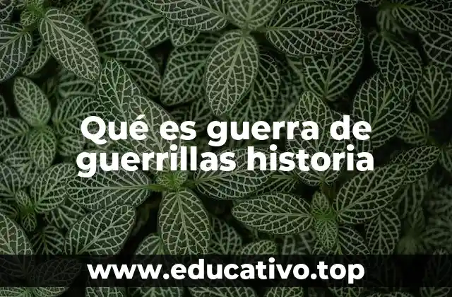 Qué es guerra de guerrillas historia