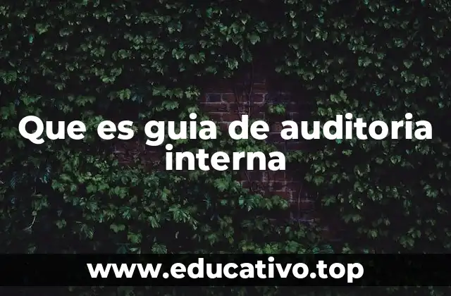 Fundamentos de la auditoría interna