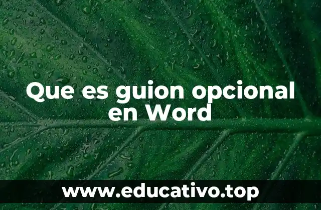 Que es guion opcional en Word