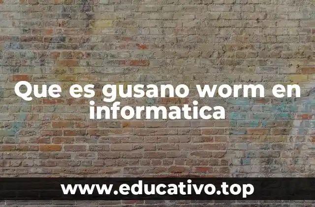 Que es gusano worm en informatica