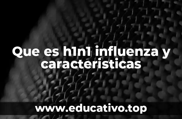 Que es h1n1 influenza y caracteristicas