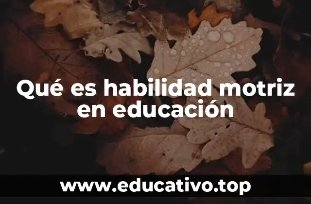 Qué es habilidad motriz en educación