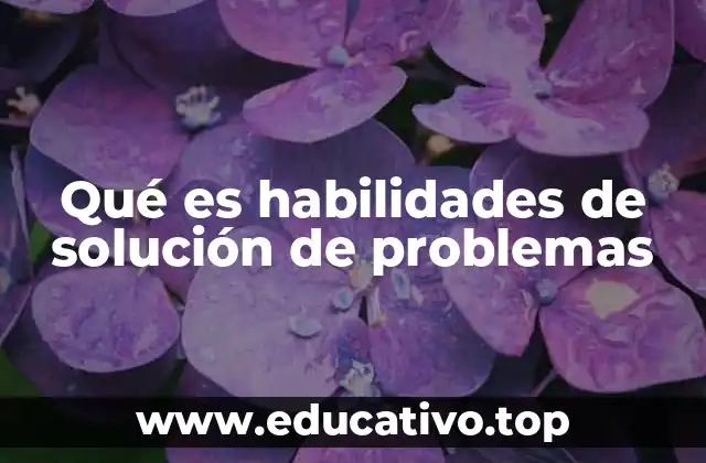 Qué es habilidades de solución de problemas