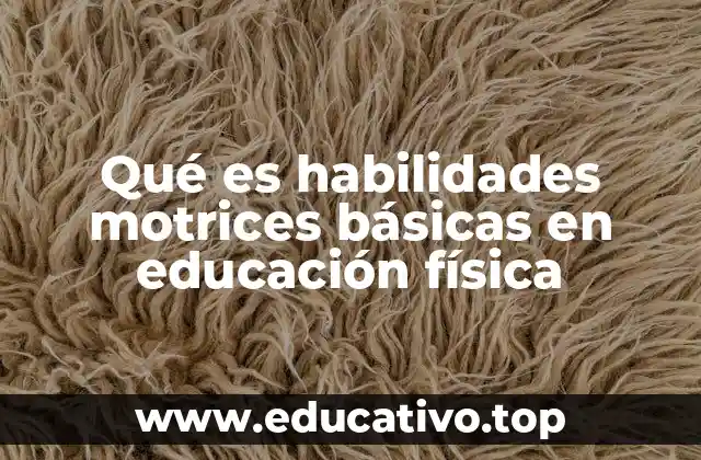 Qué es habilidades motrices básicas en educación física