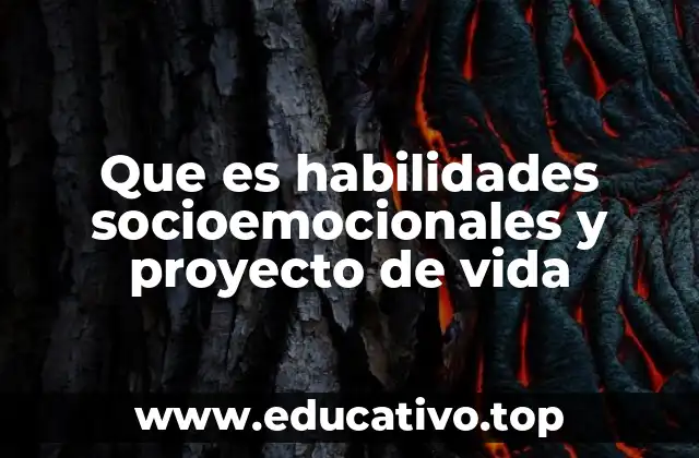 Que es habilidades socioemocionales y proyecto de vida