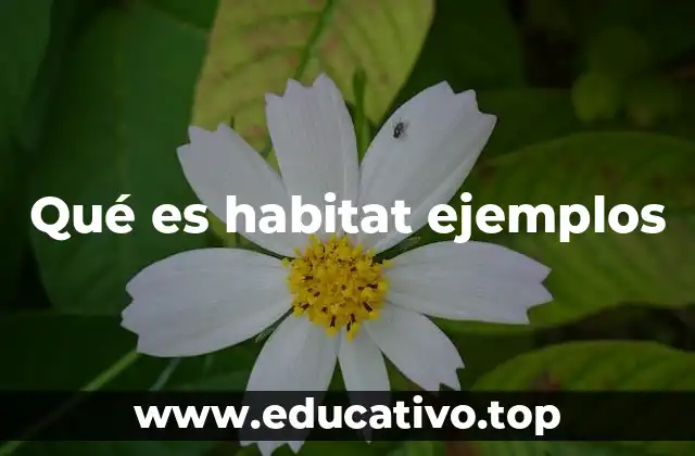 Qué es habitat ejemplos