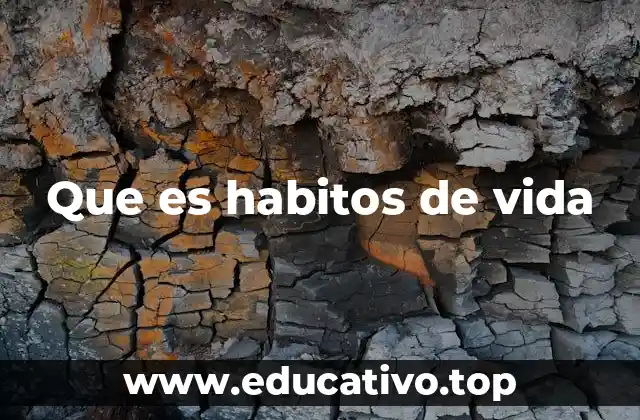Que es habitos de vida