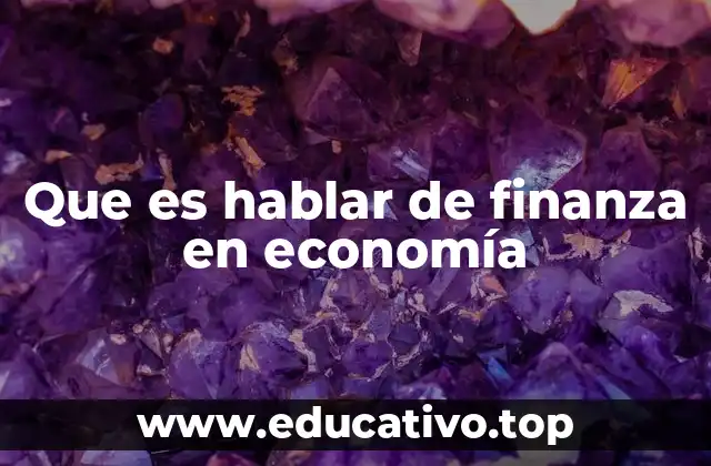Que es hablar de finanza en economía